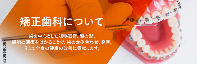 矯正歯科について 歯を中心とした咀嚼器官、顔の形、機能の回復をはかることで、歯のかみ合わせ、発音、そして全身の健康の改善に貢献します。            