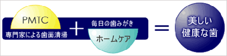 PMTC:専門家による歯面清掃+ホームケア:毎日の歯みがき=美しい健康な歯